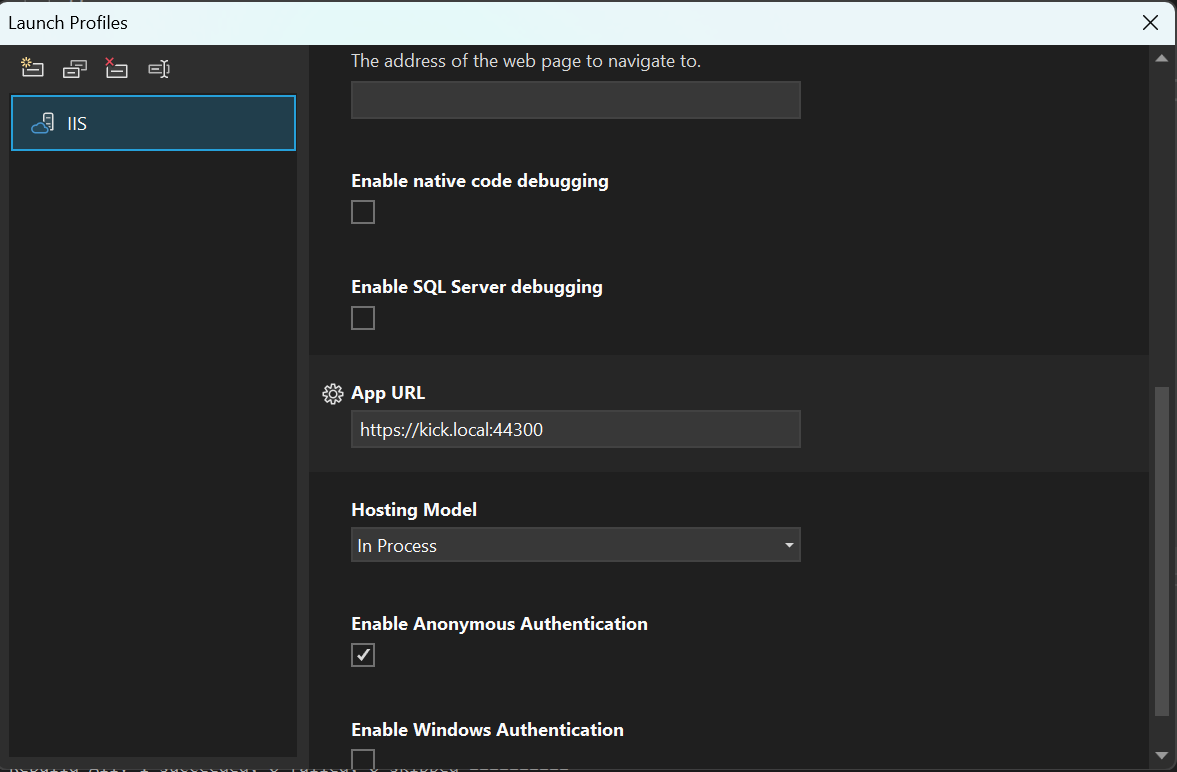 Create IIS Launch Profile